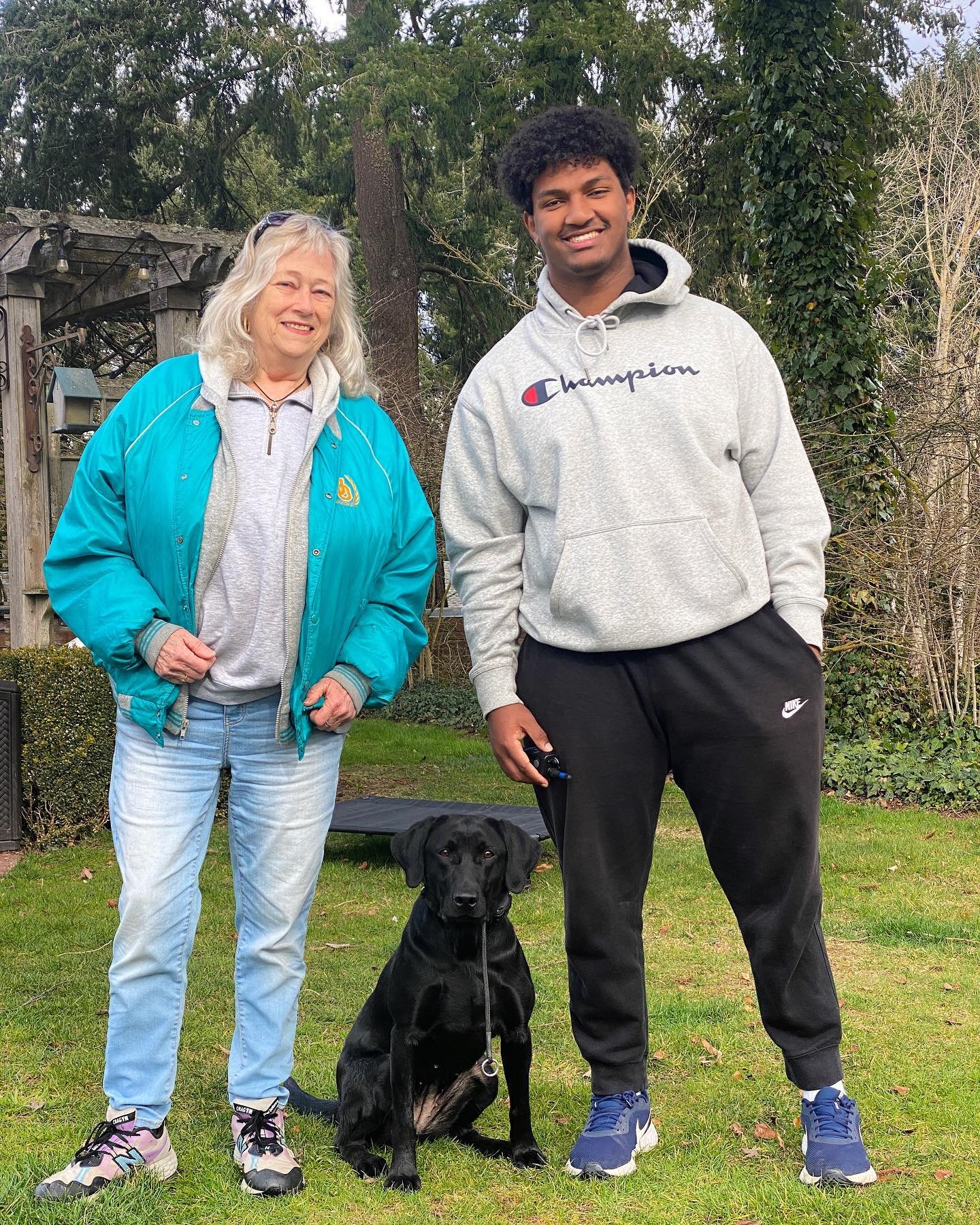 Dog training photo